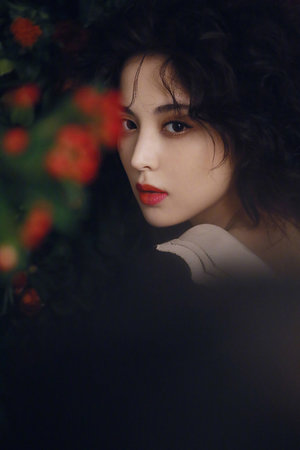 日韩大片免费2023年最新电视剧